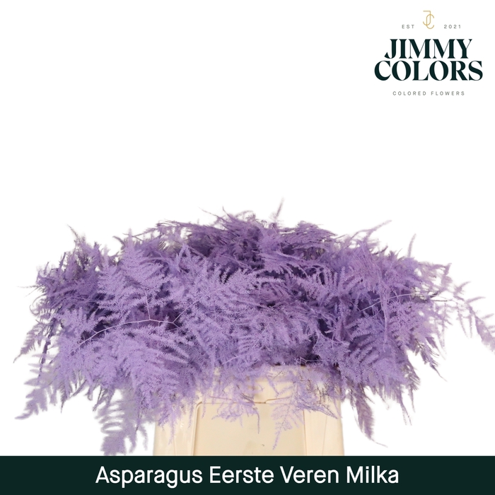 <h4>Asparagus 1ste Milka</h4>