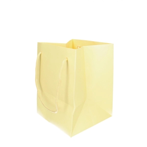 Bags Olympic 25*18*18cm