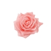 Wax Rose D10 Light Pink