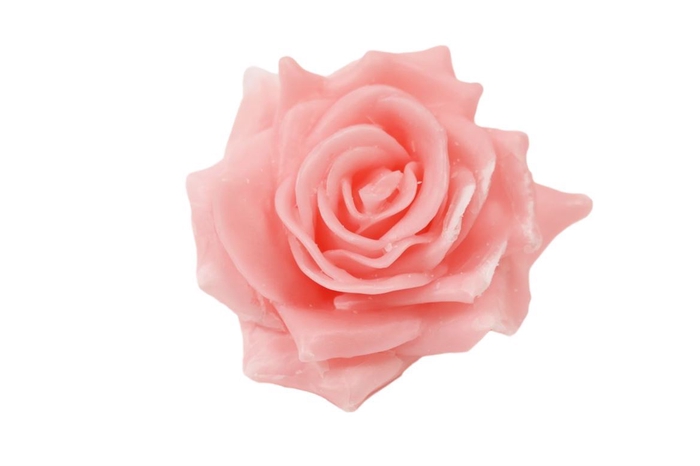 Wax Rose D10 Light Pink