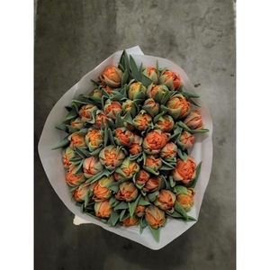 TU DU ORANGE PRINCESS