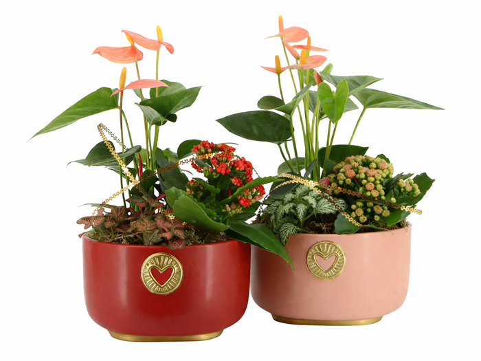 <h4>21793: Lovess arrangement</h4>