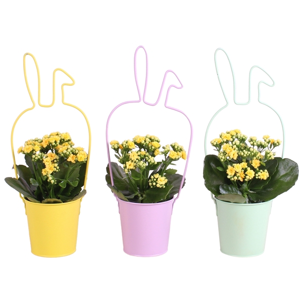 <h4>Easter Arr. Indoor Zinc Rabbit Frame Ø14cm 1PP</h4>