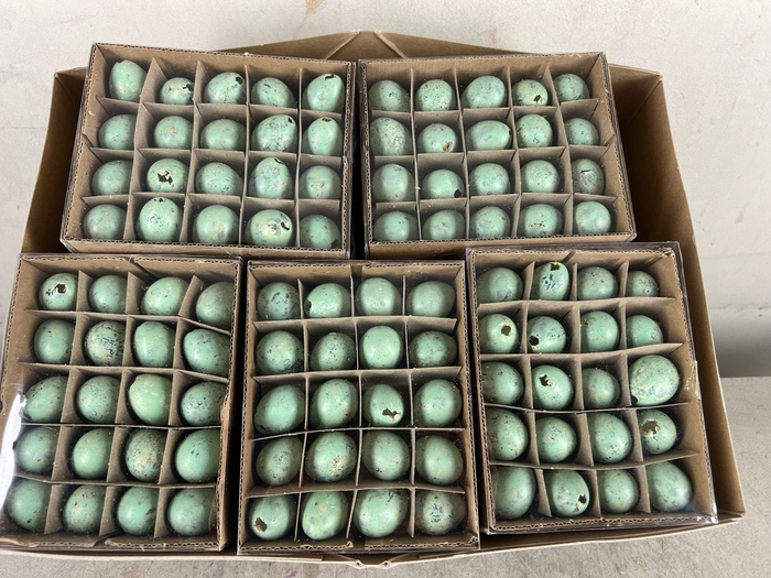 <h4>Egg Quail Turq, Box(60pcs)</h4>