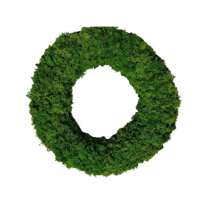 <h4>Wreath d40cm Reindeer moss</h4>