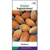 Corylus