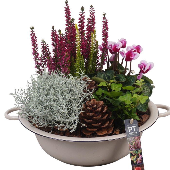 <h4>Arr.   Tuinplanten L%</h4>