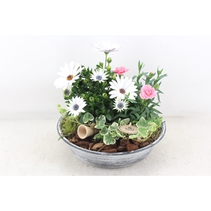 arr4 Outdoor PL - Zink antiek schaal Los