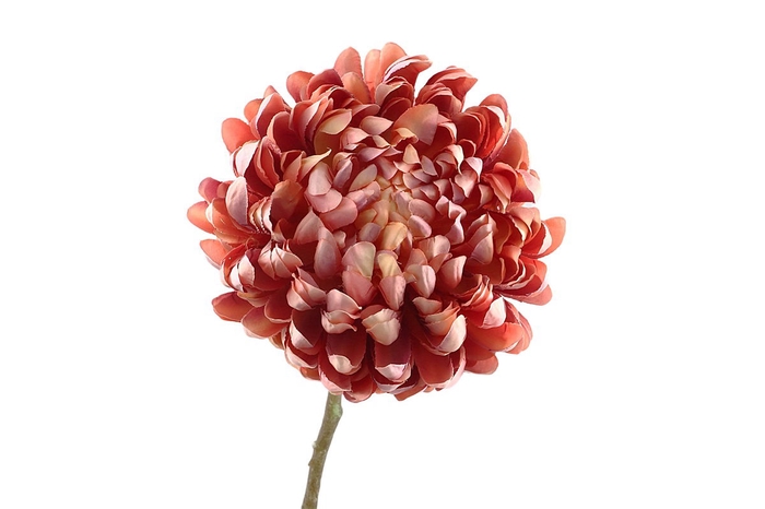 <h4>Chrysanthemum Orange Yellow FL440197ORA</h4>