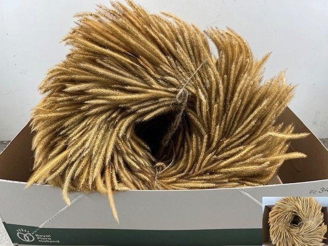 <h4>SIERKRANS H%</h4>