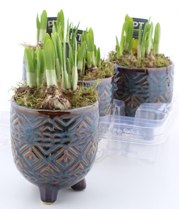 <h4>ARR N TETE A TETE</h4>