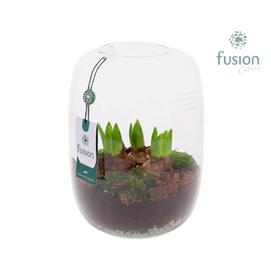 Green Bottle Isabella Large met Hyacinten