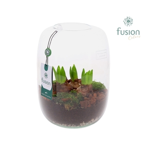 Green Bottle Isabella Large met Hyacinten