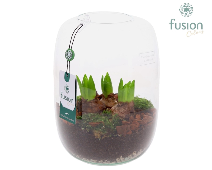 <h4>Green Bottle Isabella Large met Hyacinten</h4>