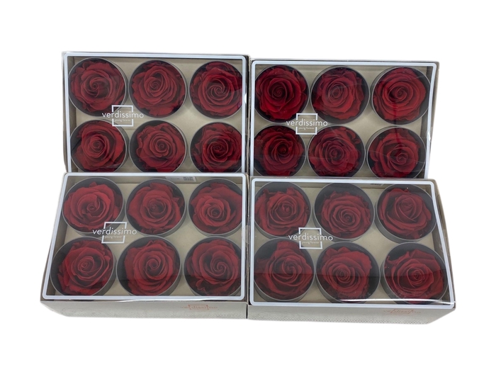 <h4>ARR ROSA POT H%</h4>