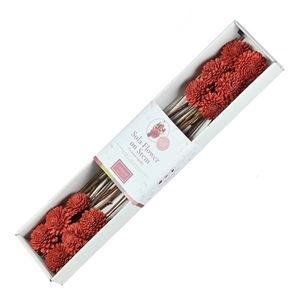 Sola Starley 6cm O/s 12pc Red Spring