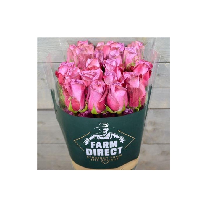 <h4>R Gr Moody Blues</h4>