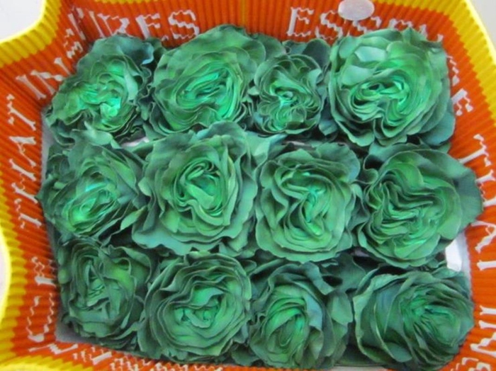 <h4>R Gr Groen Equador</h4>