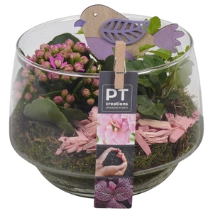 Arr.   Planten L%