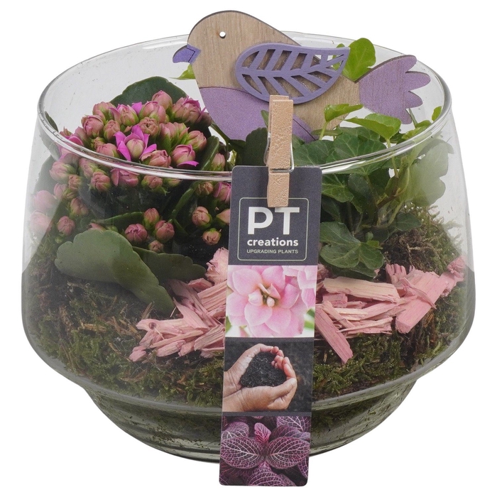 <h4>Arr.   Planten L%</h4>