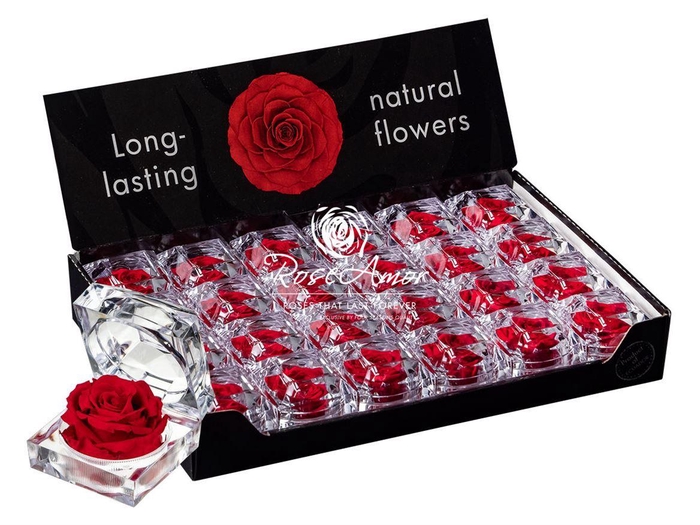 <h4>Display Jewel Red02</h4>