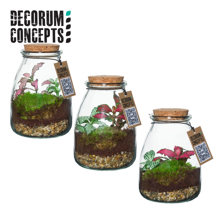 <h4>Terrarium IO (Decorum concepts)</h4>