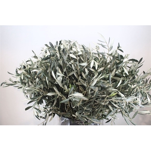 Olive 400gr P/b