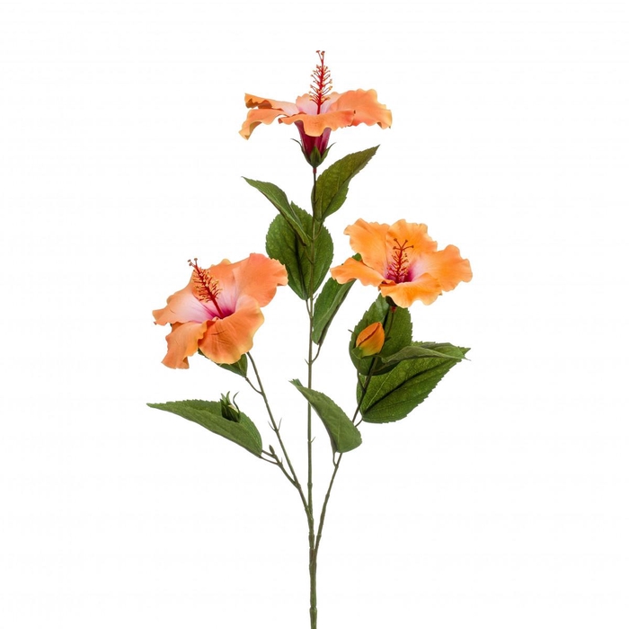 <h4>Hibiscus 82cm</h4>