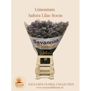 LIM SAF LILAC