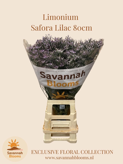 <h4>LIM SAF LILAC</h4>