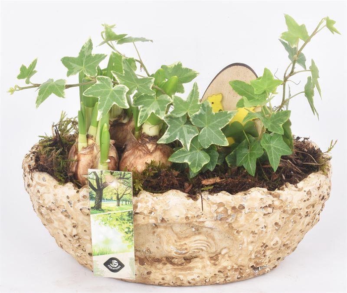 <h4>Cement ovaal kip decor 23x13cm</h4>