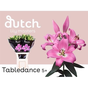 LI OT TABLEDANCE 55+