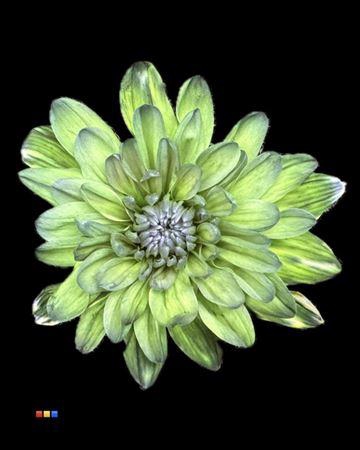 <h4>Chr T 2 Kl Baltica Polar Light</h4>