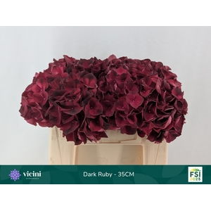 HYDR M MAG DARK RUBY