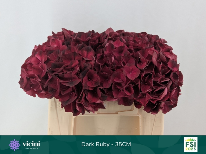 <h4>HYDR M MAG DARK RUBY</h4>
