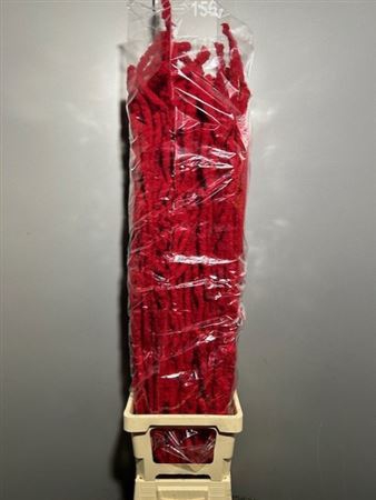 <h4>Betula Flocked Red Rosso</h4>