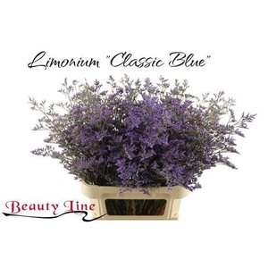 LIM SAF CLASSIC BLUE