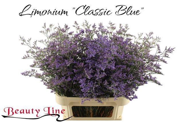 <h4>LIM SAF CLASSIC BLUE</h4>