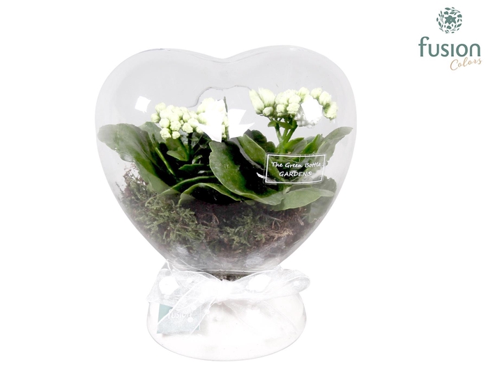 <h4>Green Bottle Hart met Kalanchoe</h4>