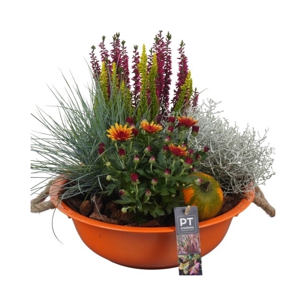 <h4>PTHO4044 Arrangement Herfst Outdoor in metalen schaal</h4>
