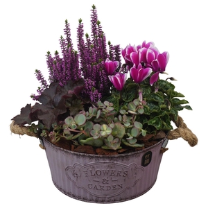 Arr.   Tuinplanten L%