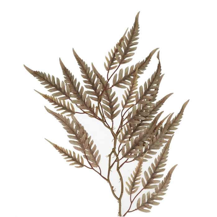 <h4>Artificial flowers Fern 70cm</h4>