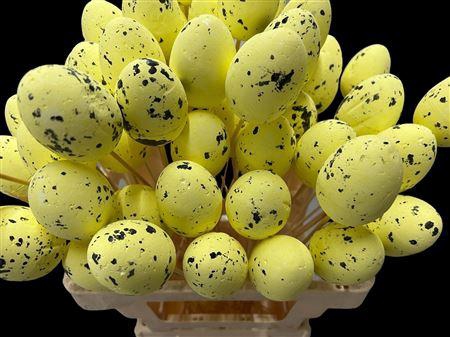 <h4>KIEVITSEI OP STOK H% YELLOW</h4>