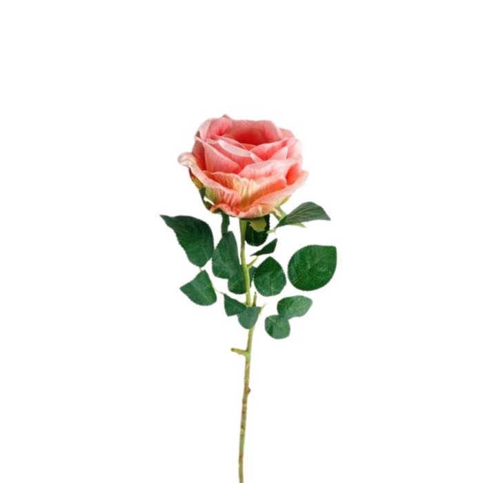 <h4>Rosa 65cm</h4>