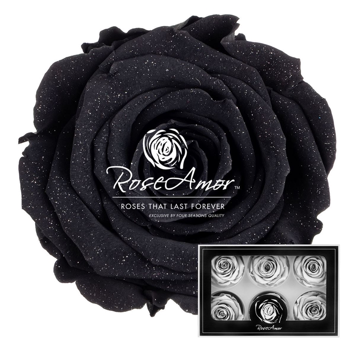 Lplus Diamond Dust Bla01