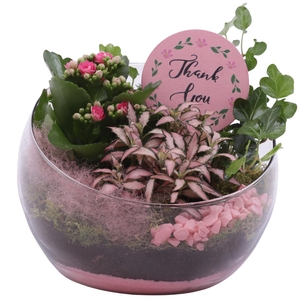 Mothersday Arr. Indoor Glass Bowl Vase Ø20cm 3PP