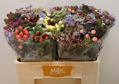 <h4>GEM ZOMERBOEKET</h4>