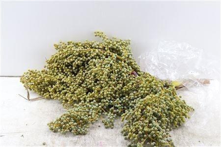 <h4>DADELS PHX PER KILO</h4>