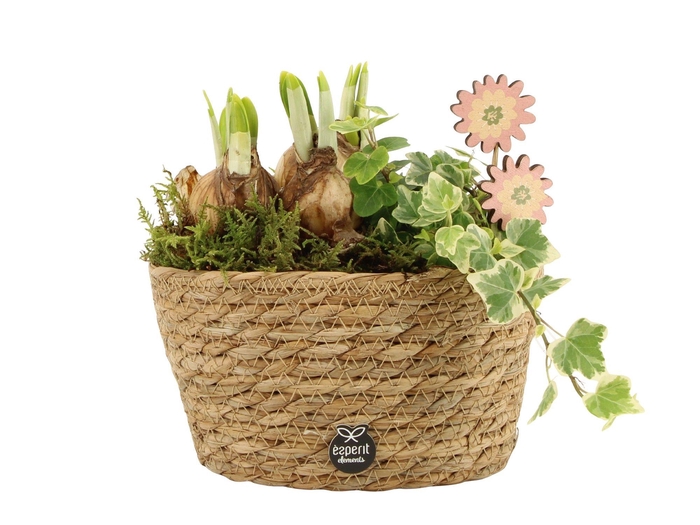 <h4>11665: Outdoor spring arrangement</h4>
