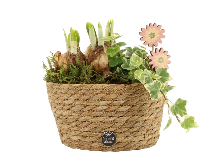 <h4>11665: Outdoor spring arrangement</h4>